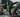 What rim profile (depth) to choose?