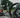 What rim profile (depth) to choose?