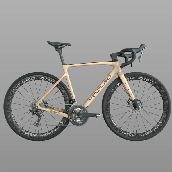 G21 DB STD Gravel Bike LTWOO RX12 - ERX - GRT