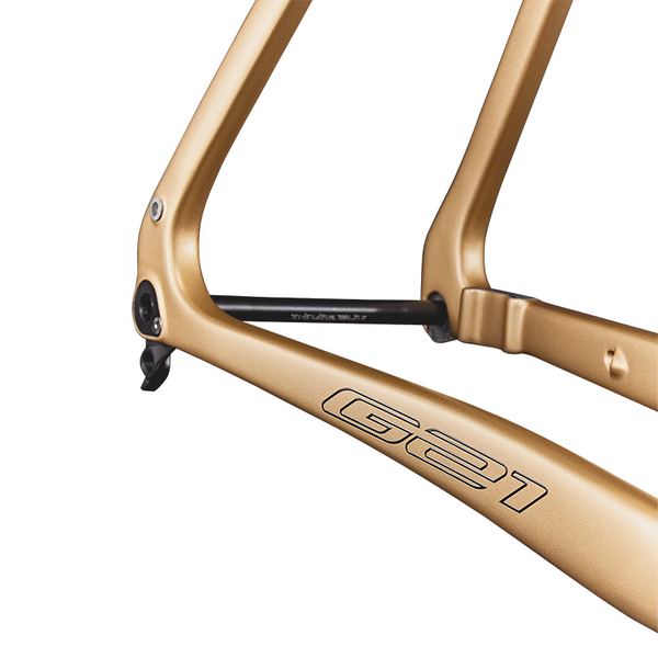 G21 Disc Brake Gravel Frameset