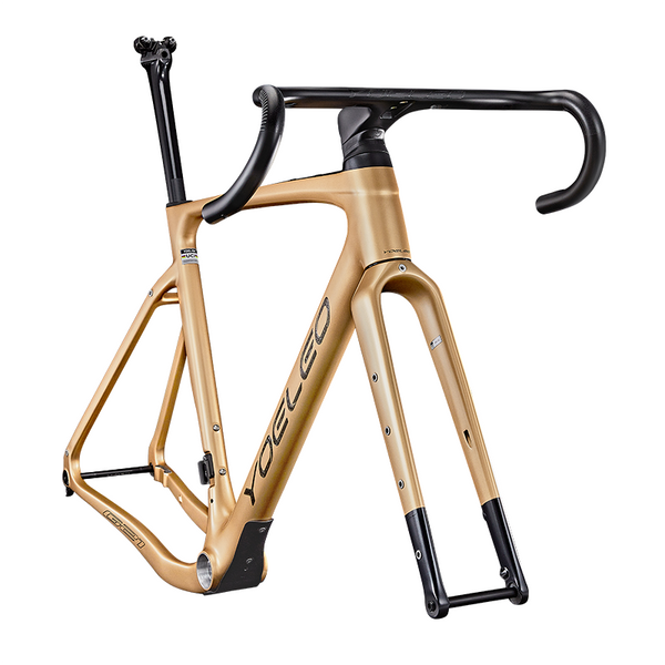 G21 Disc Brake Gravel Frameset