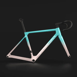 R11 FRAME SET CUSTOM PAINT (FADED)