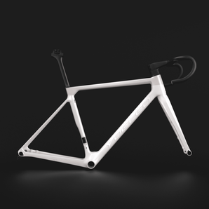R11 FRAME SET CUSTOM PAINT (CUT)
